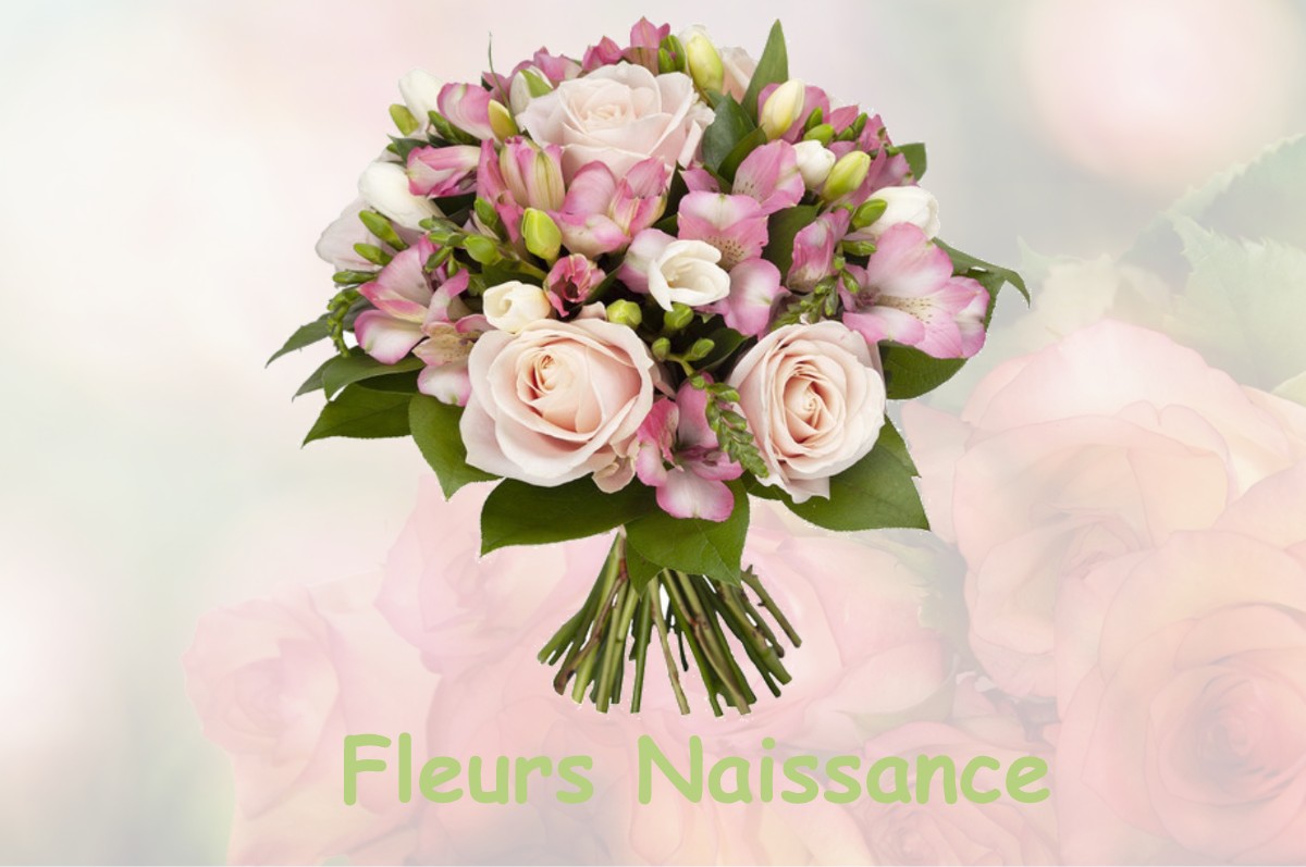 fleurs naissance SAINT-AMANT-DE-NOUERE